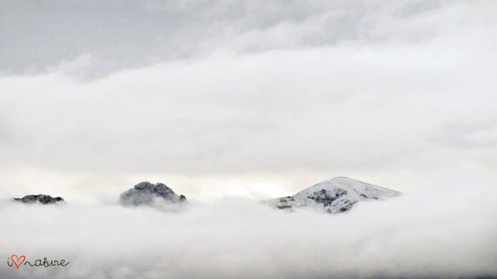 706277_488405154537870_1496084524_o