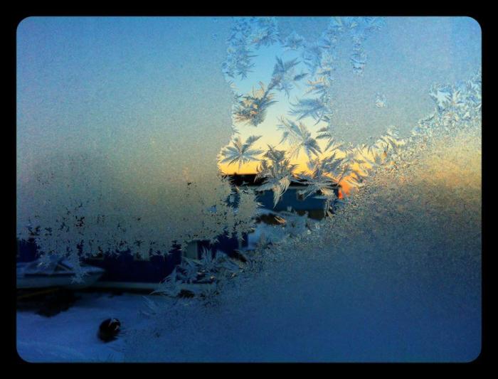 643944_435662796492948_1769836787_n