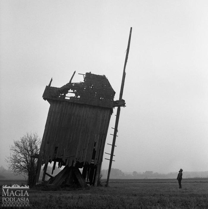 541809_525099360857589_1467980804_n