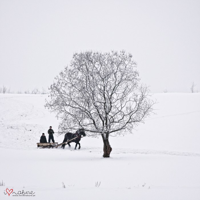 8391046229_9e940d1797_h