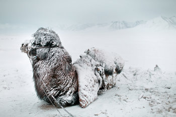 20130201-lens-paley-slide-O23A-custom1