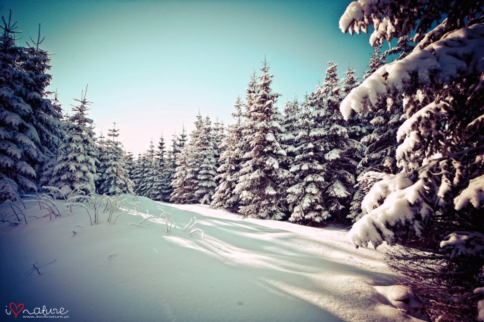 793928_518125578232494_977157185_o