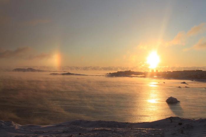 857497_482256491833578_1631788687_o