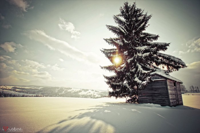 858297_525991880779197_1135143671_o