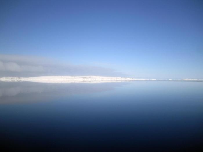 901591_496015550457672_1661182793_o