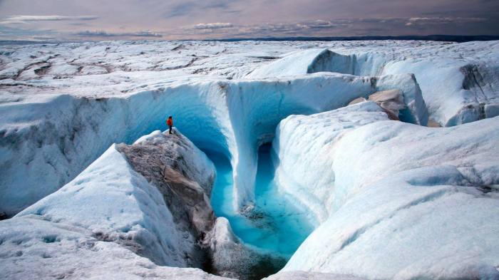 1008558_531490156910211_71749389_o