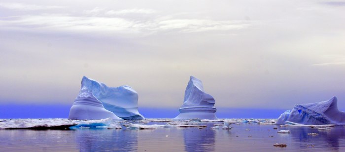 1074727_539665282759365_1106865880_o