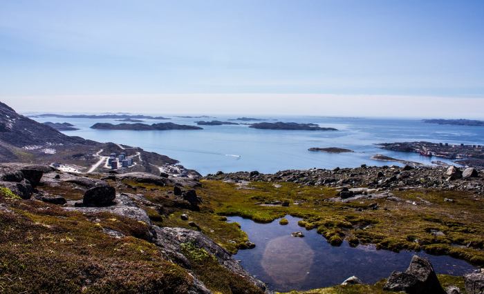 1075362_541107035948523_2055145129_o