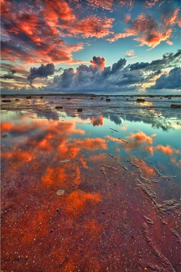 1014004_10153796583910291_560771431_n